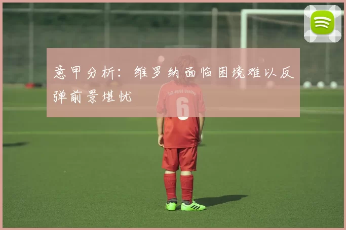 意甲分析：维罗纳面临困境难以反弹前景堪忧
